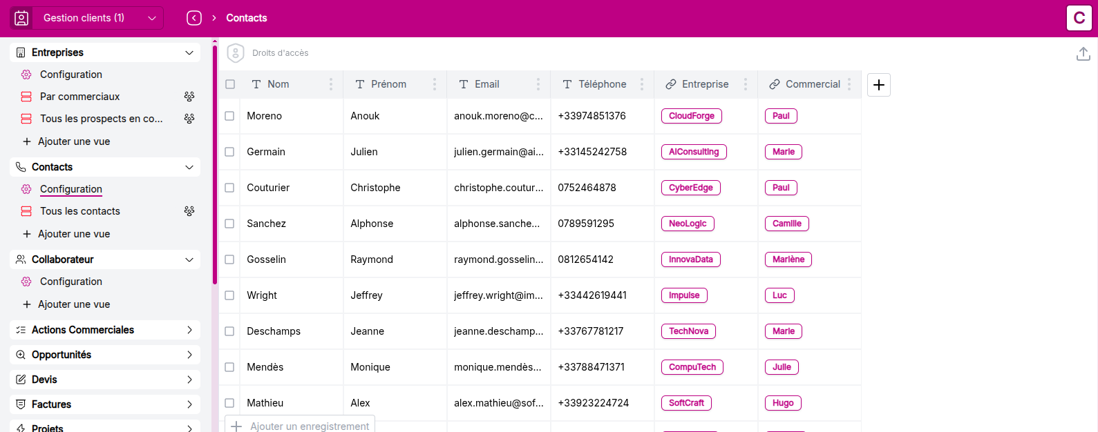 View of the Contacts object after data import