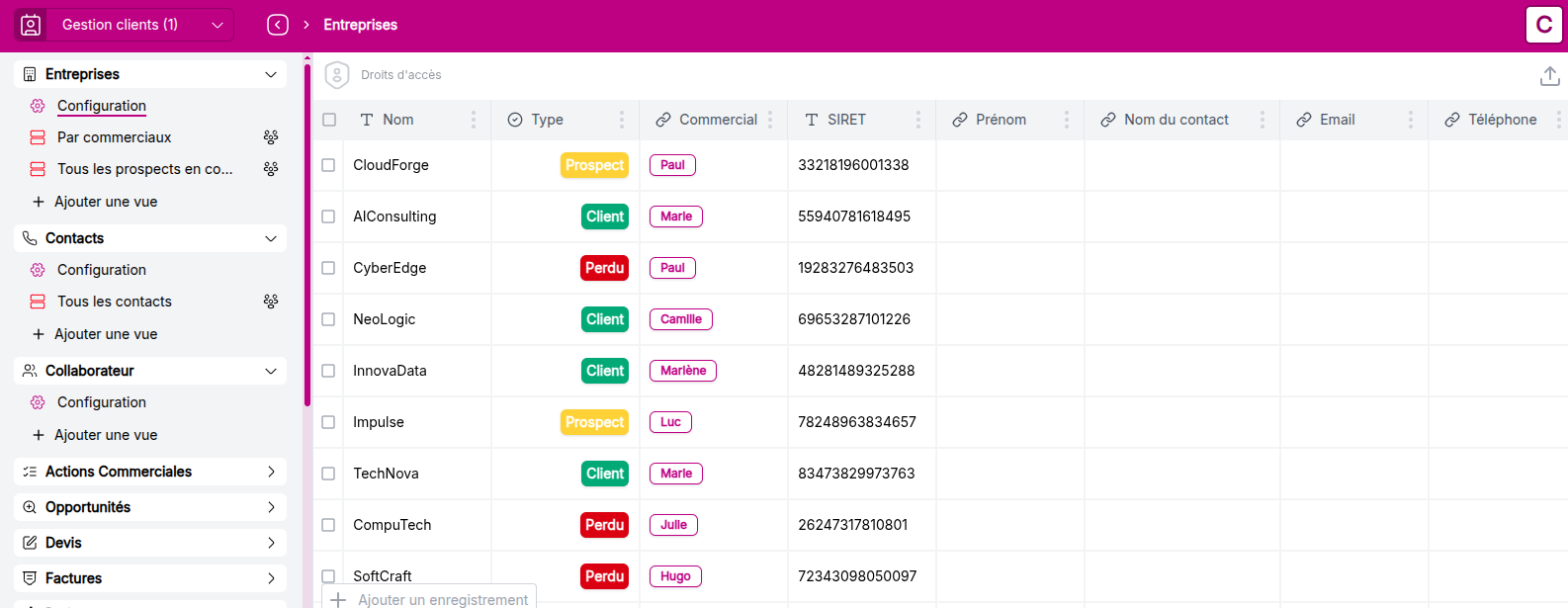 View of the Companies object after data import