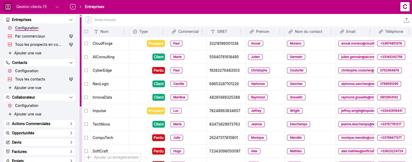 View of the Companies object after importing contact data