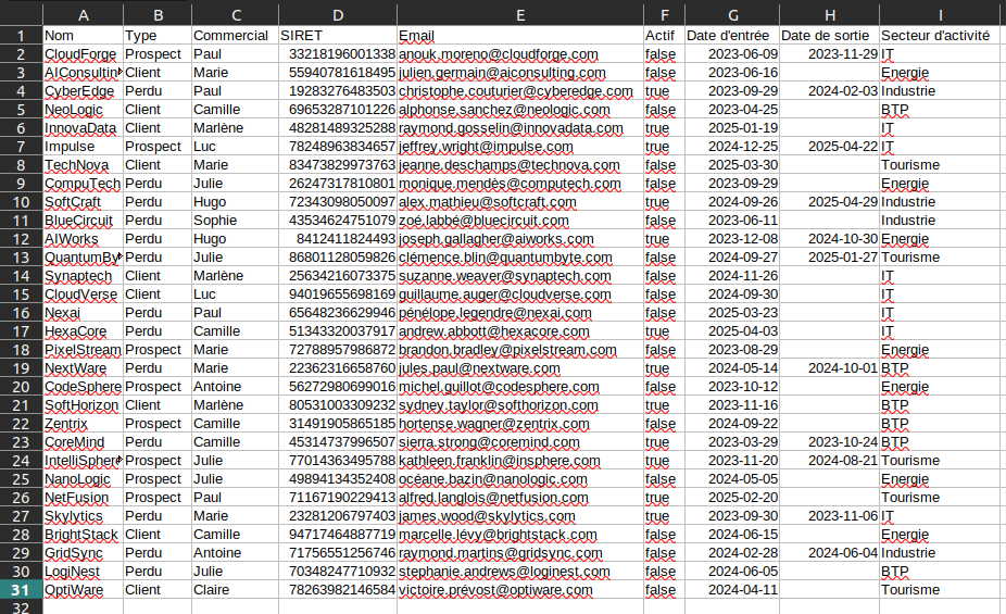 Configuration of the .csv file for importing company-related data